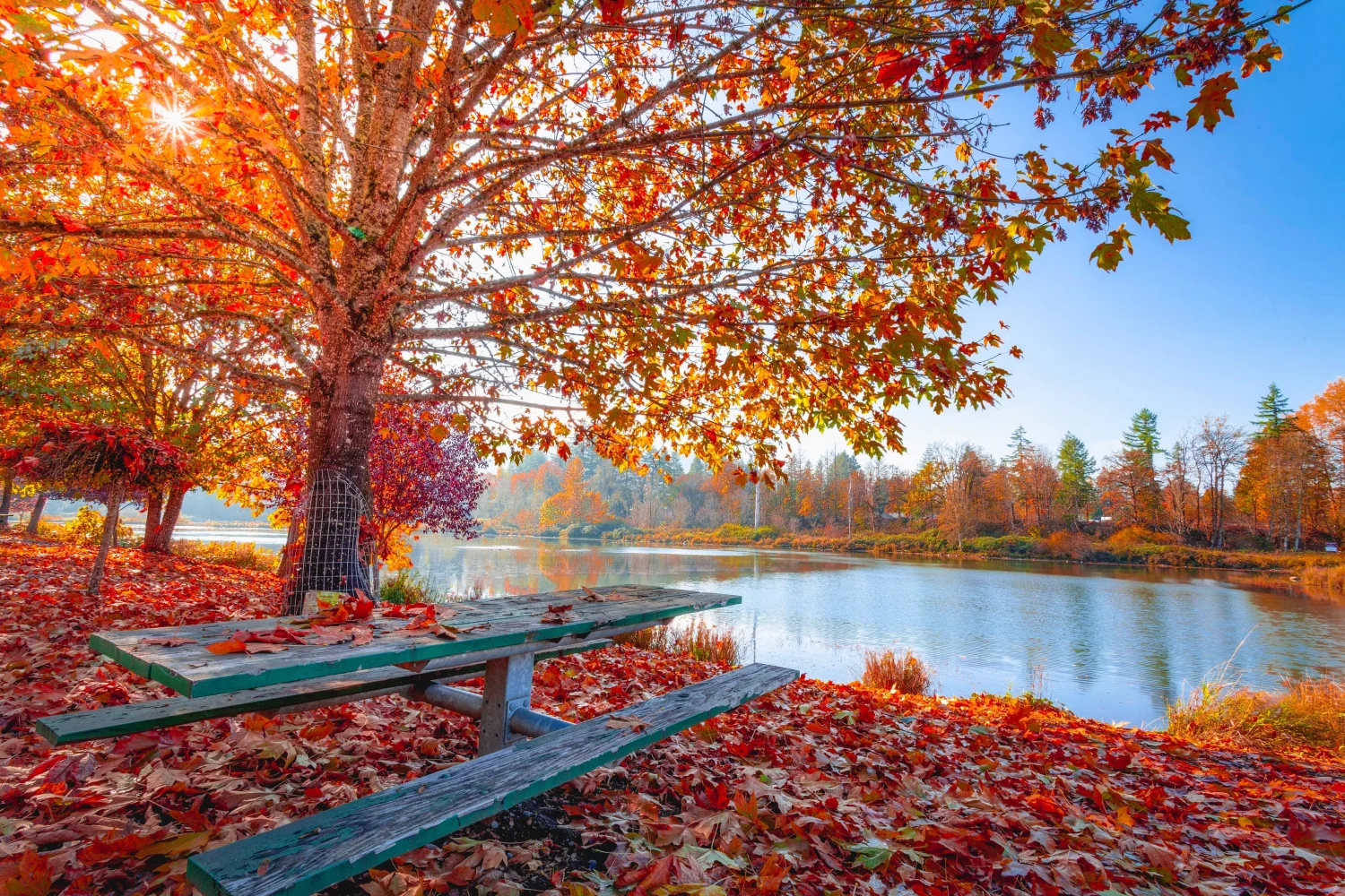 Bank in herbstlichen Park am Wasser