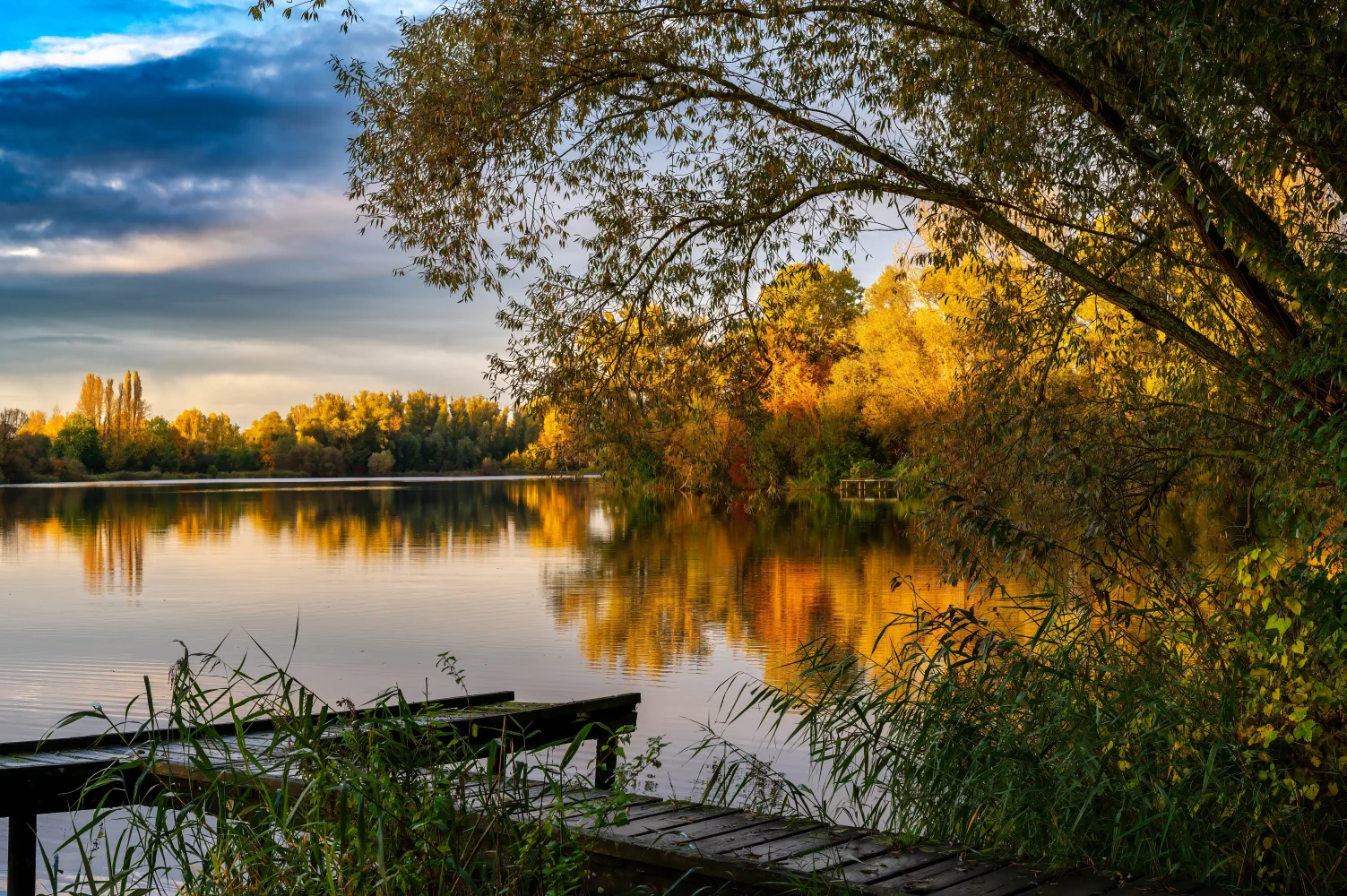 Blick auf See und Baum im Sonnenlicht im Herbst
