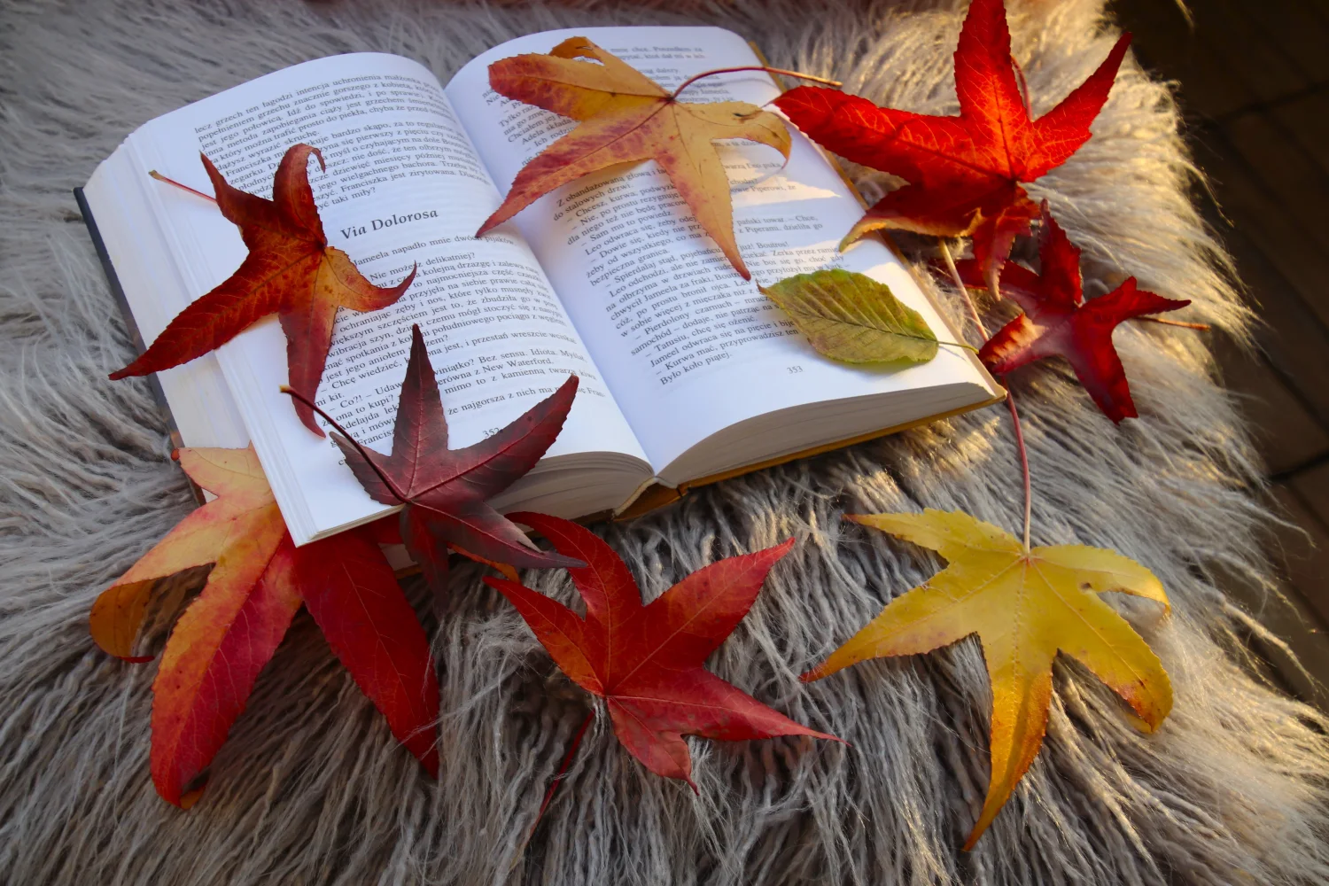 Buch mit schönen gelben Blätter