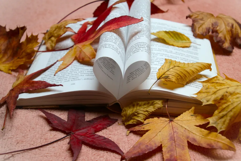 Buch über Liebe mit gefallenen Blätter