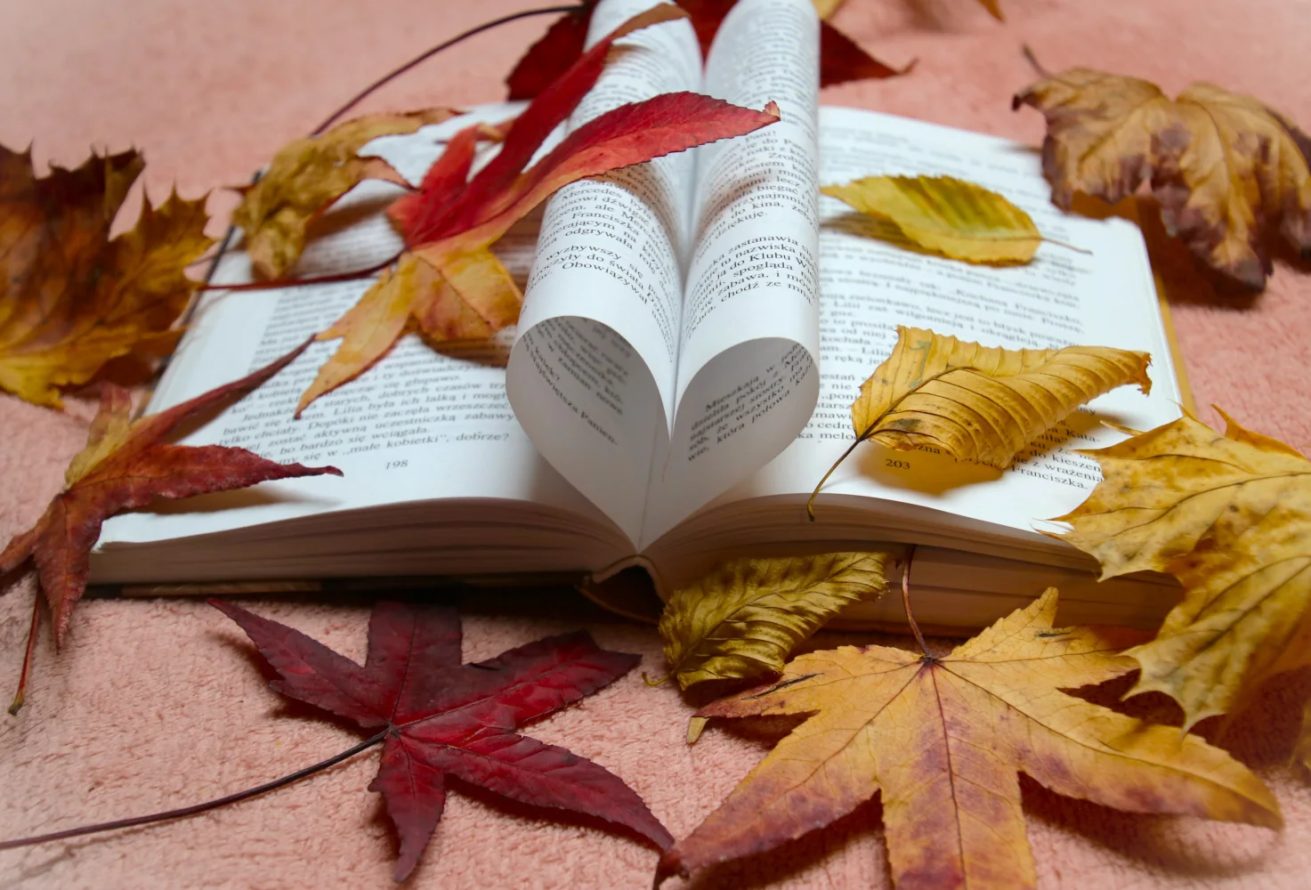 Buch über Liebe mit gefallenen Blätter