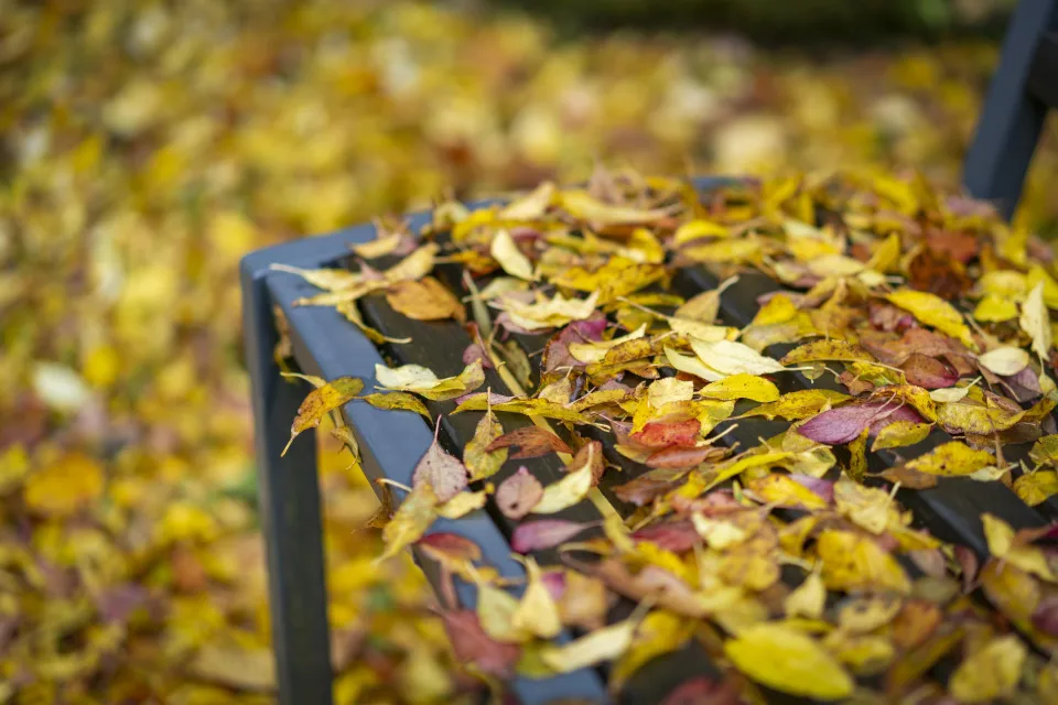 Gefallene trockene Herbst Blätter auf Bank im Park