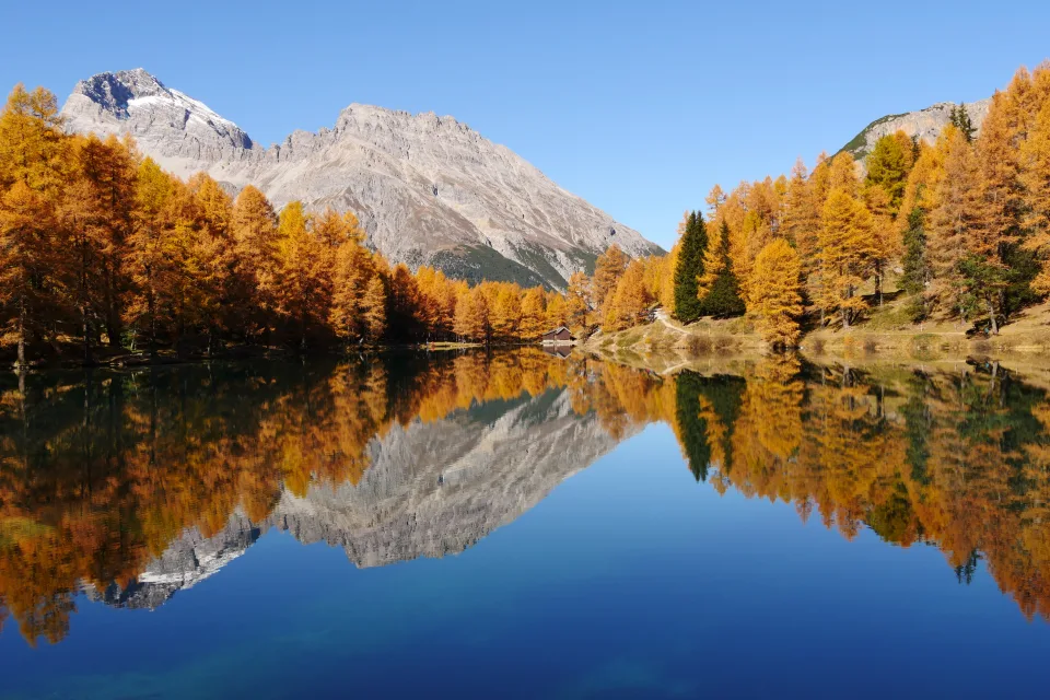 Herbstlicher Wald und Berg spiegeln sich im See