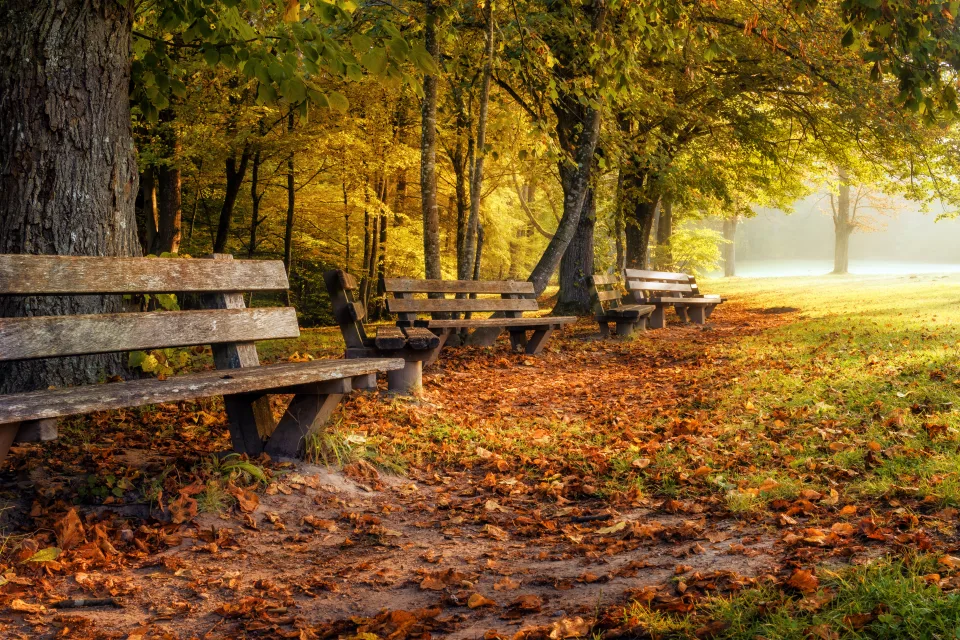 Hölzerne in herbstlichen Park
