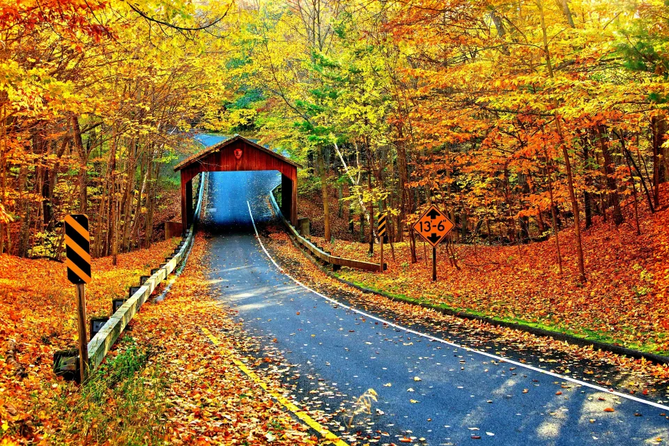 Straße im Herbstwald