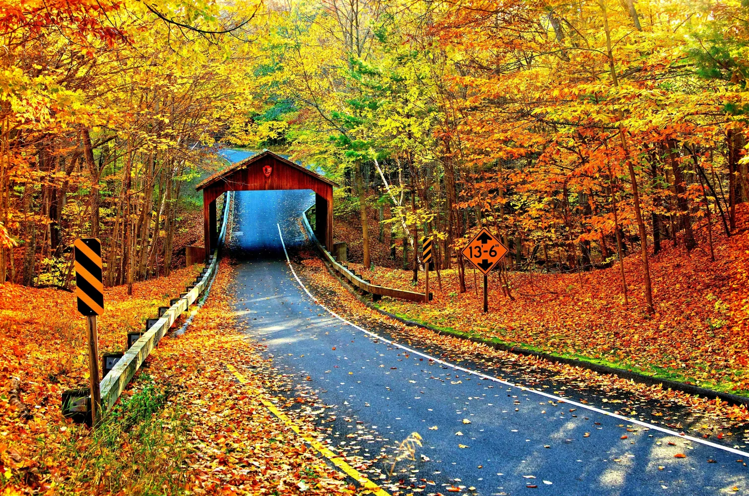 Straße im Herbstwald
