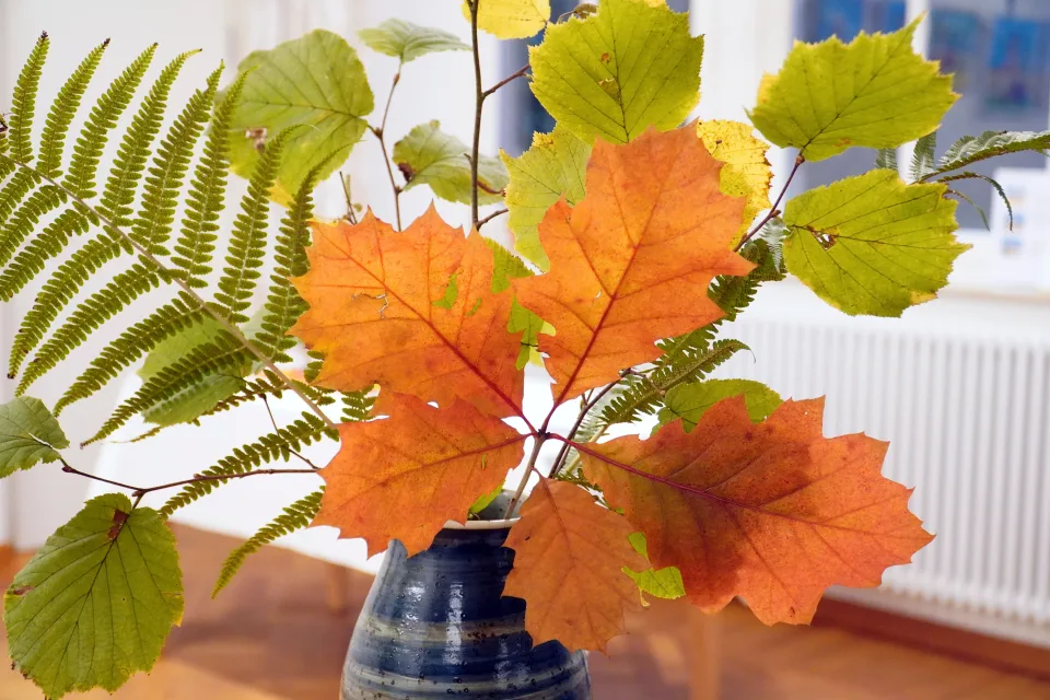 Zweige mit Blätter in Vase im Herbst
