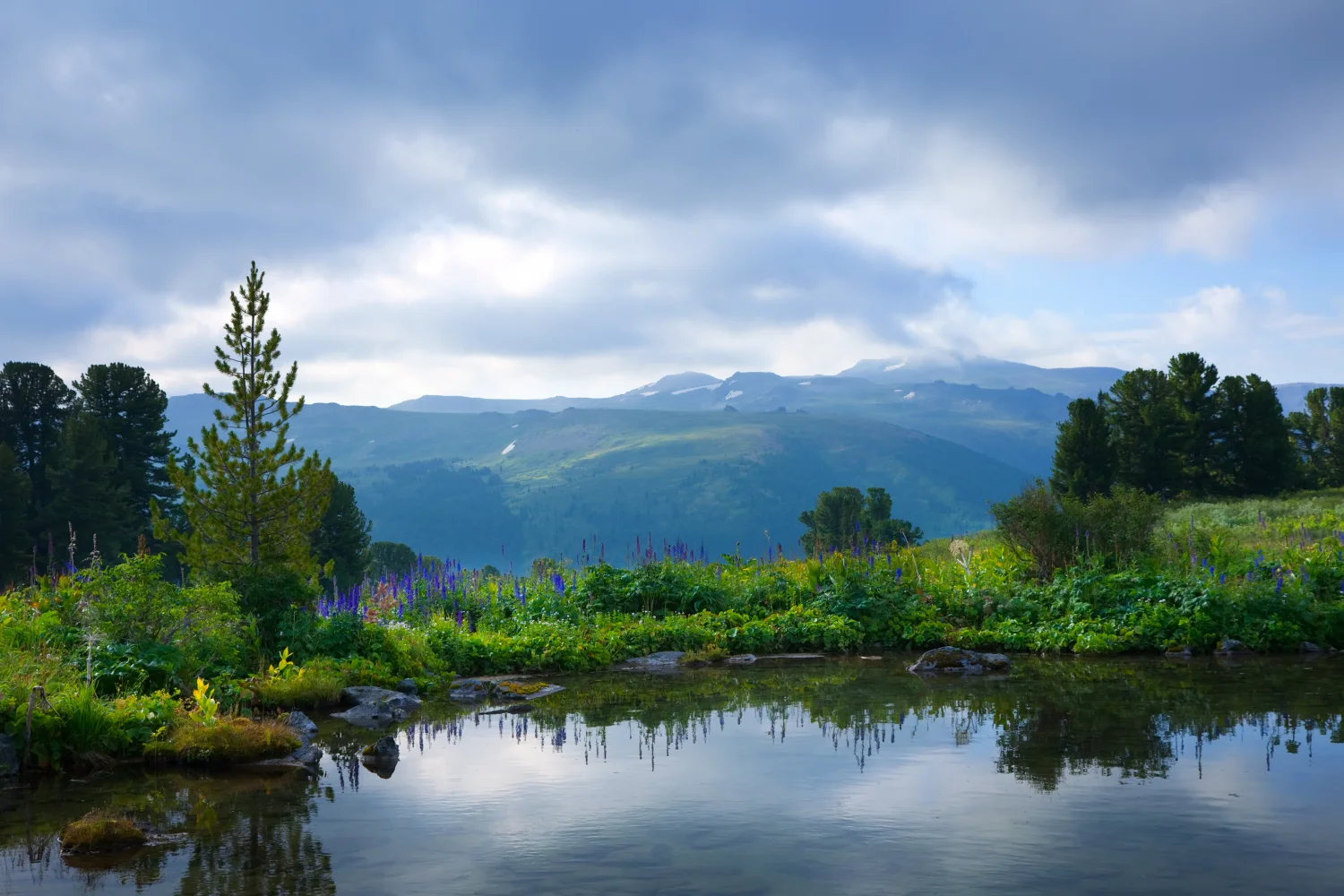 Blick auf See mit bedeckten grünen Gras Ufer vor einer Bergkulisse