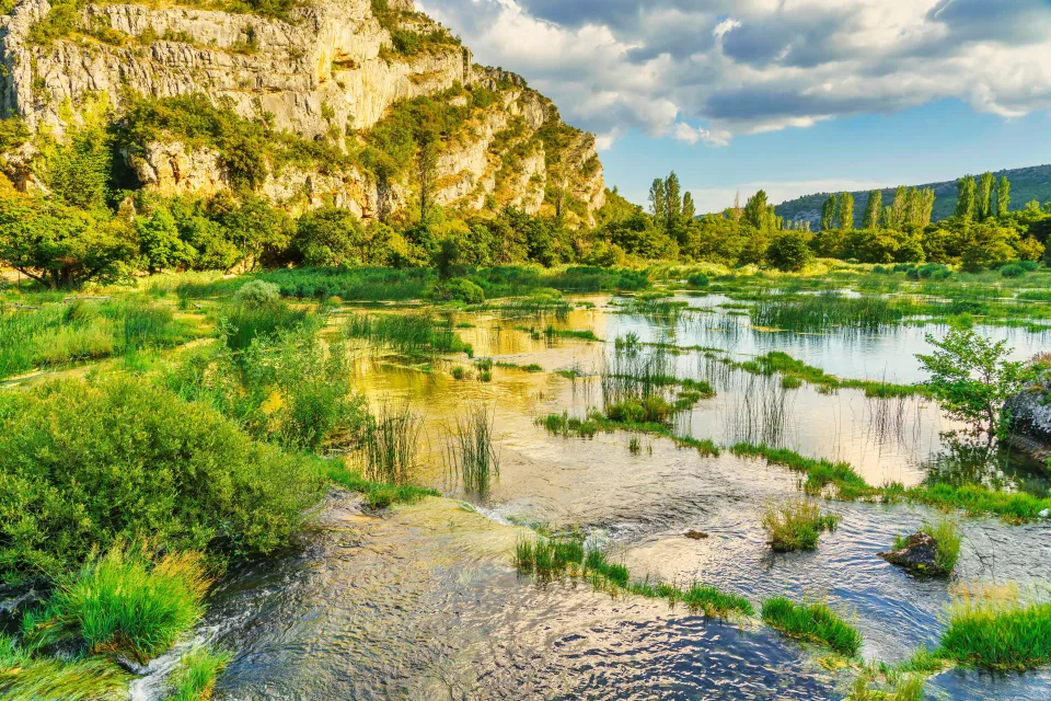 Fluss mit grünen Pflanze bei Berge