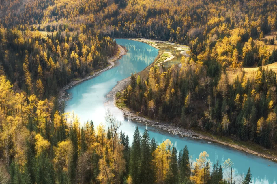 Hellblaues Wasser im Fluss bei Herbst Wald