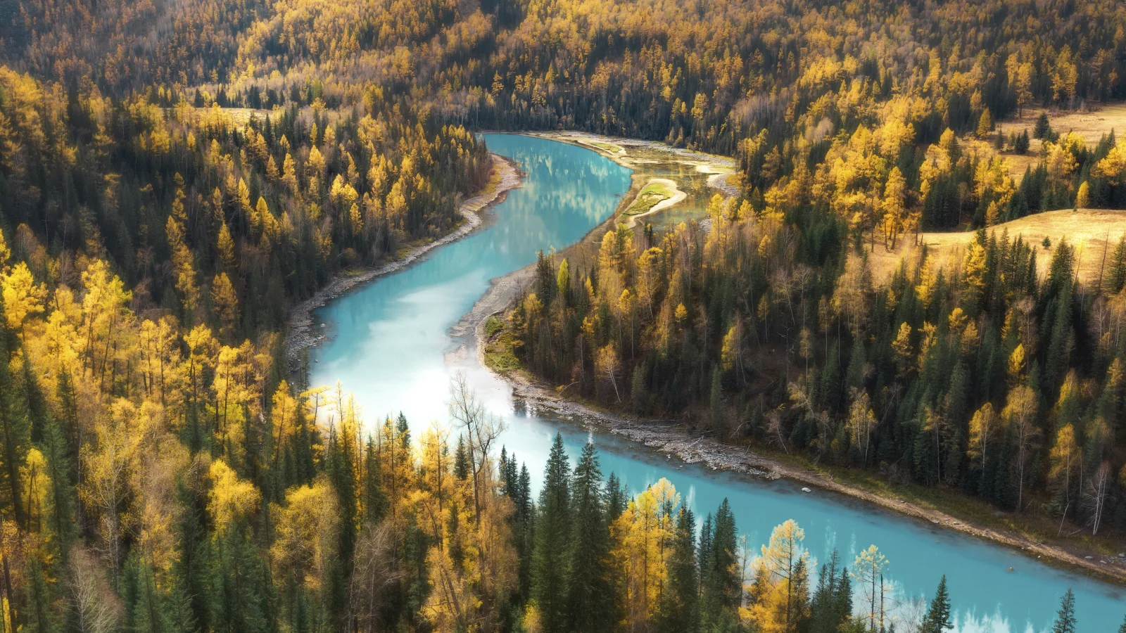 Hellblaues Wasser im Fluss bei Herbst Wald