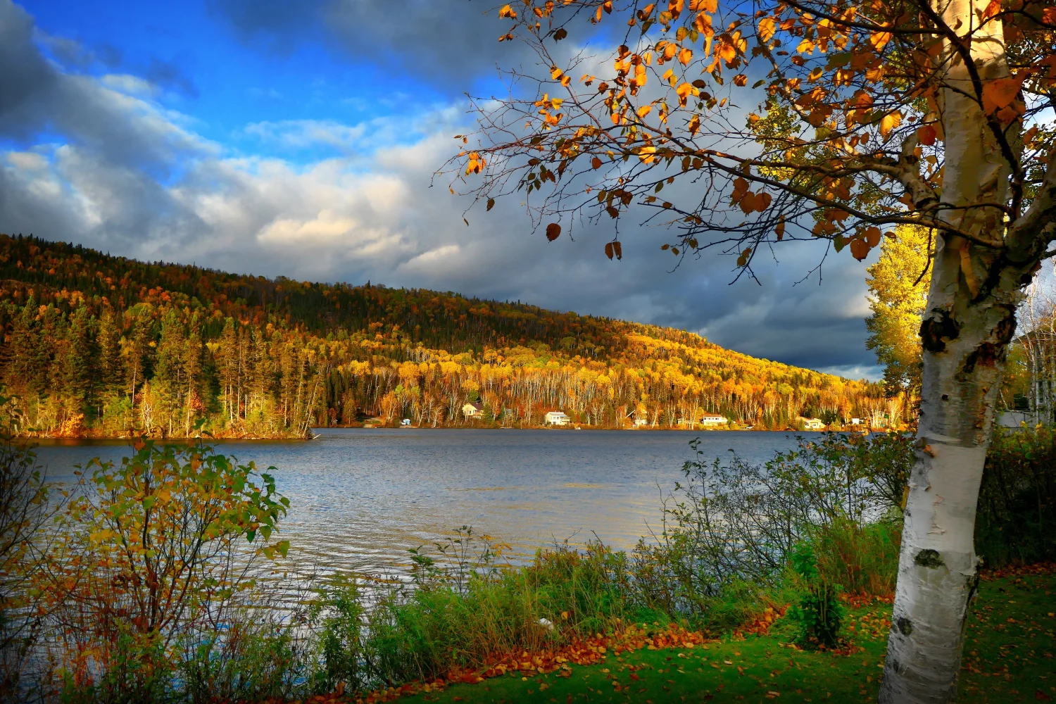Herbstlicher Wald im Sonnenlicht am See
