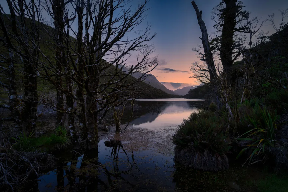 Schwarzer Baum stehen im Wasser kalten See
