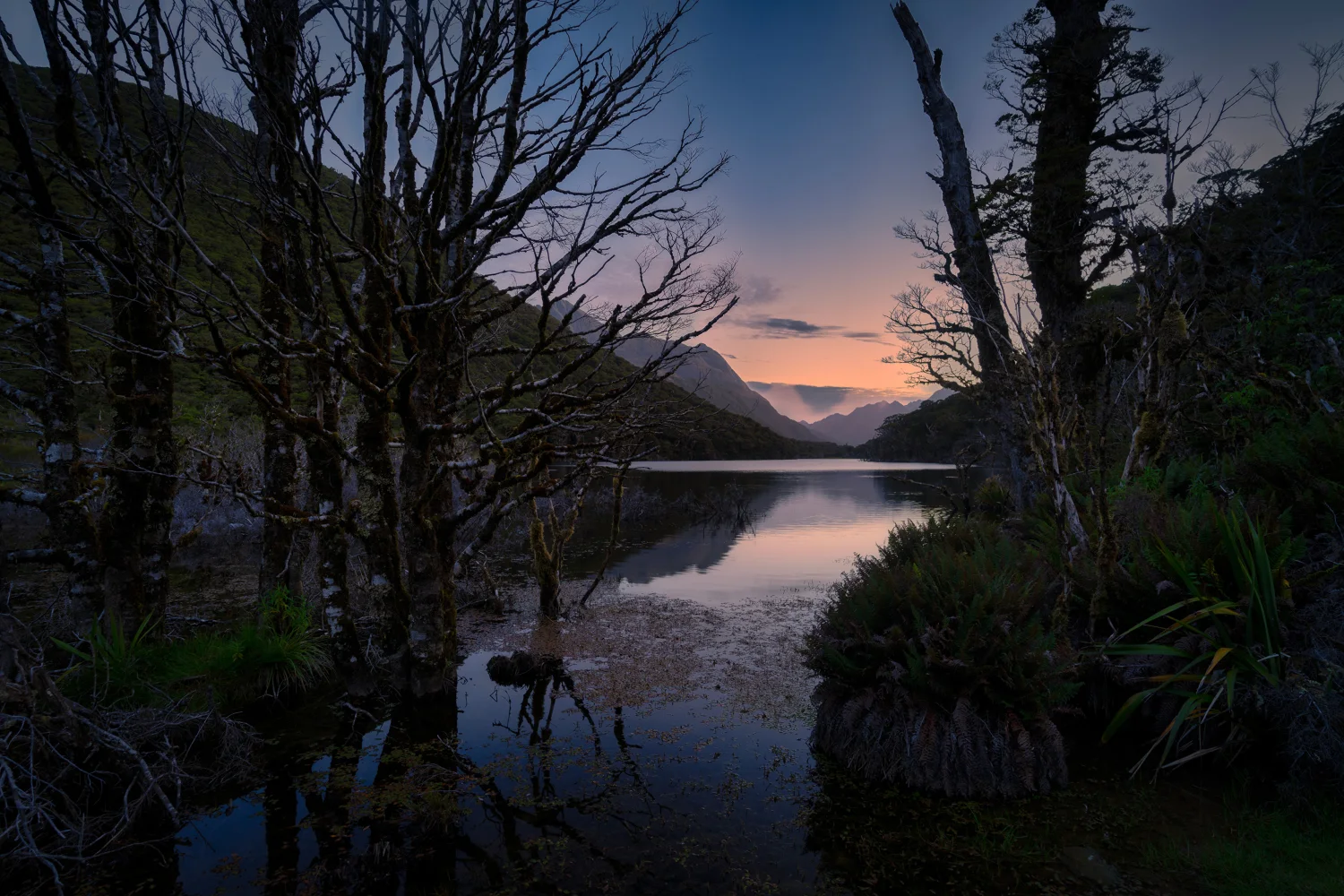 Schwarzer Baum stehen im Wasser kalten See