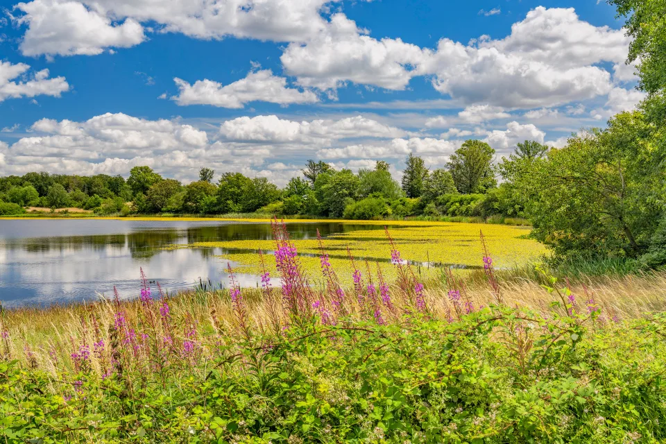 Schöne weiße Wolken in hellblauem Himmel über See im Sommer