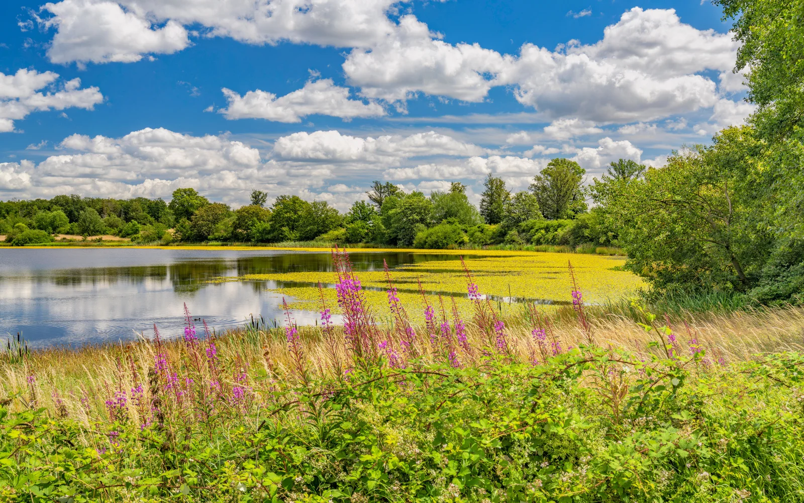 Schöne weiße Wolken in hellblauem Himmel über See im Sommer