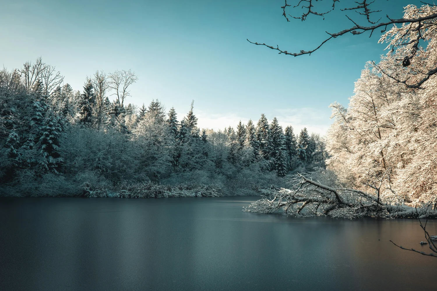 Schöner Blick auf vereistes See mit verschneiten Baum