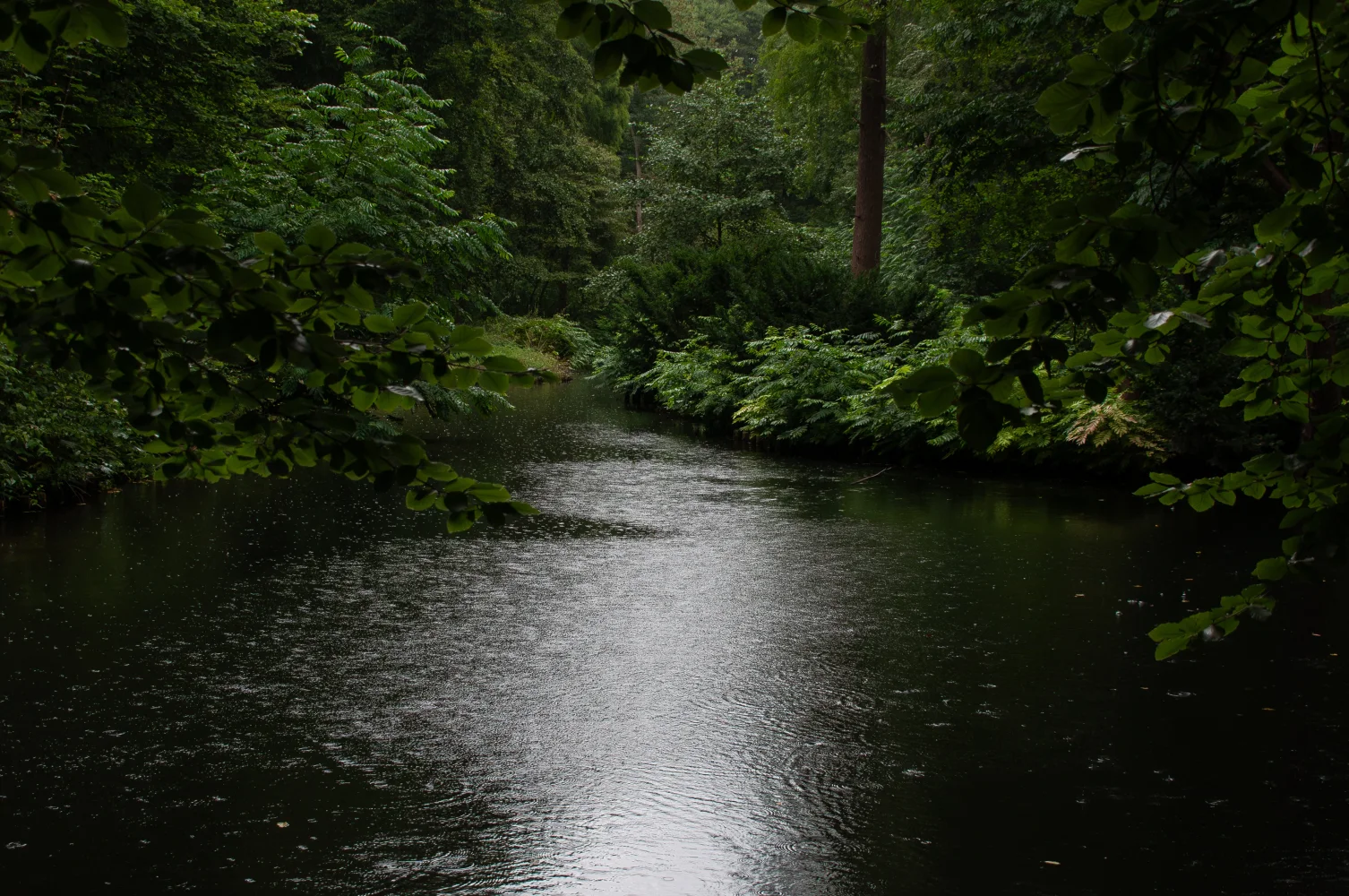 See im Regen im Sommer
