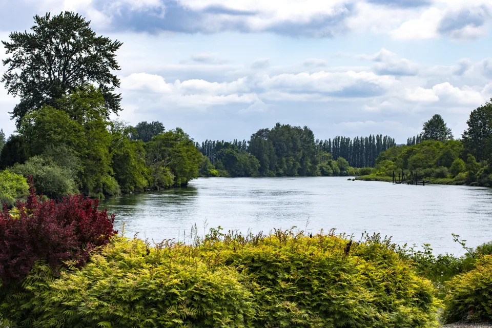 See mit bedeckten Baum Ufer