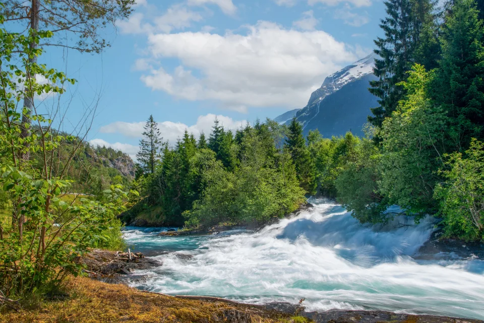 Schnelles Fluss im Wald