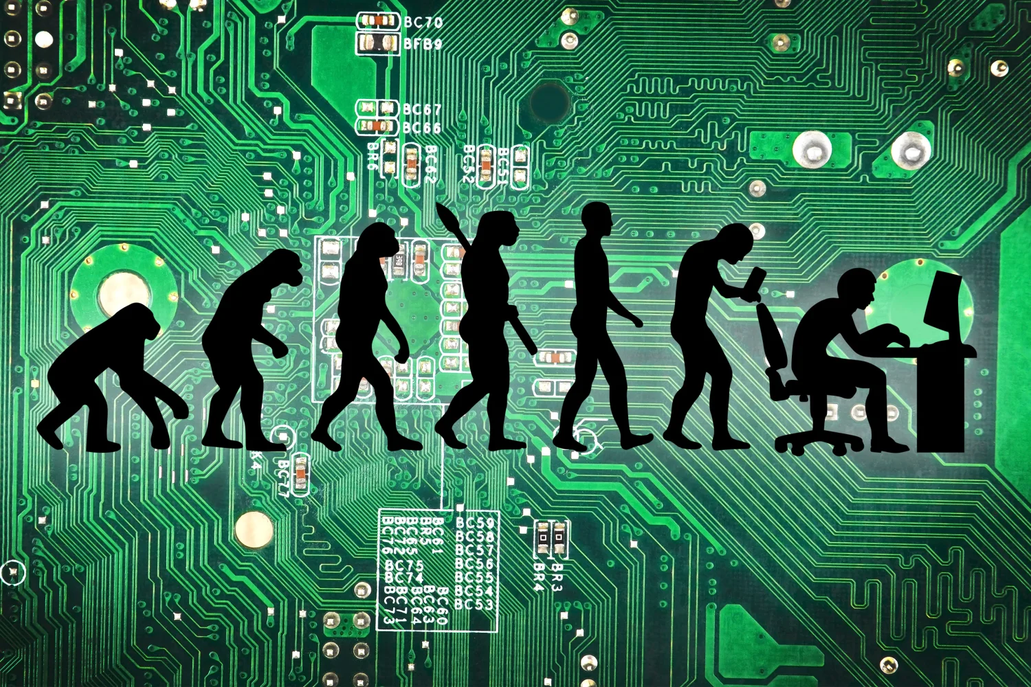 Evolution von Menschen IT Meme