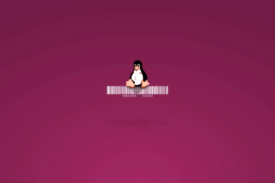 Linux Penguin