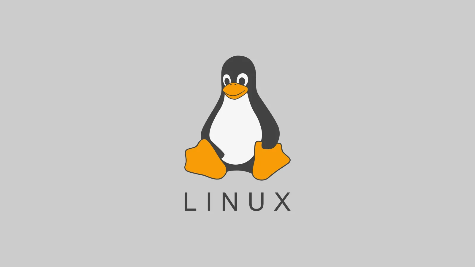 Linux Pinguinillustration