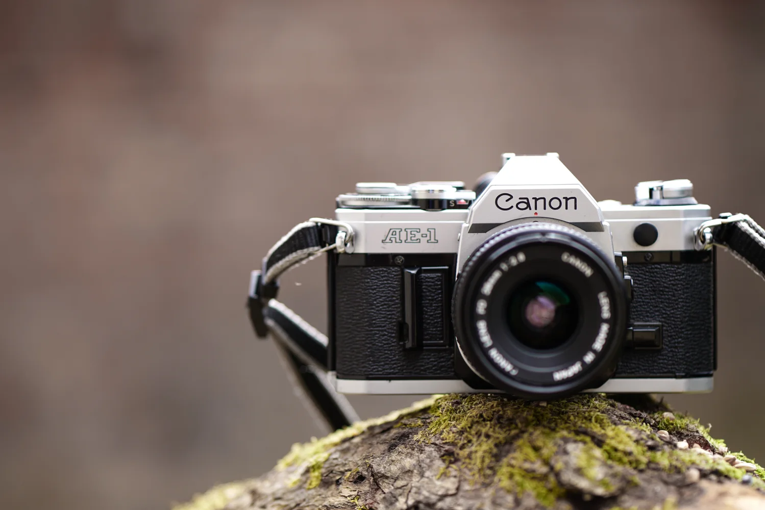 Schwarz silberne Canon DSLR Kamera Auf Braunem Fels
