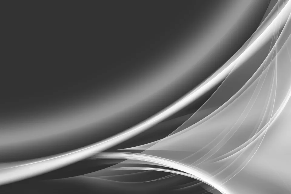 Weiße Und Schwarze Wirbellinie