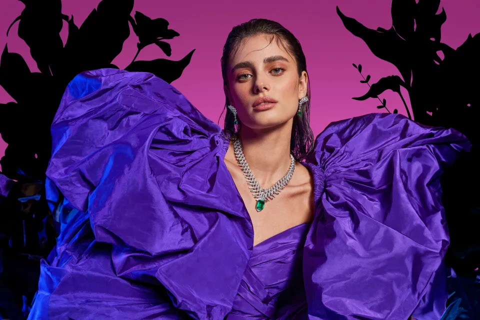 Taylor Hill American model