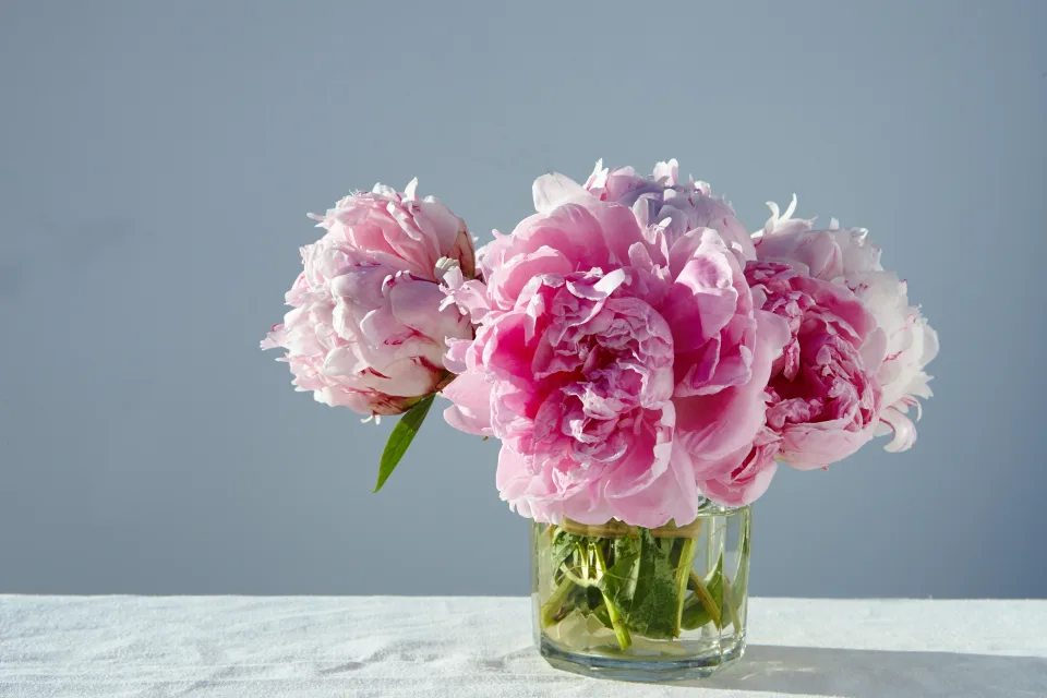 Blumen – Rosa im Glas auf Tisch