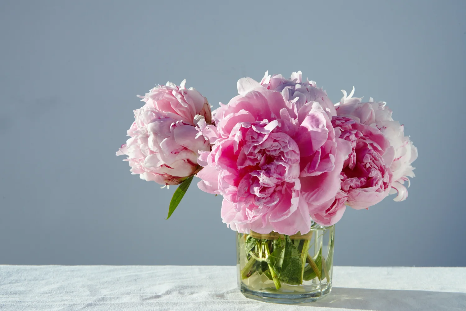 Blumen – Rosa im Glas auf Tisch