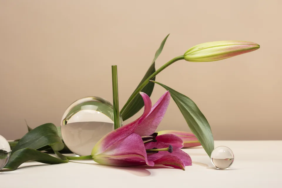 Blumen – Rosa mit Kugeln vor braunem Hintergrund