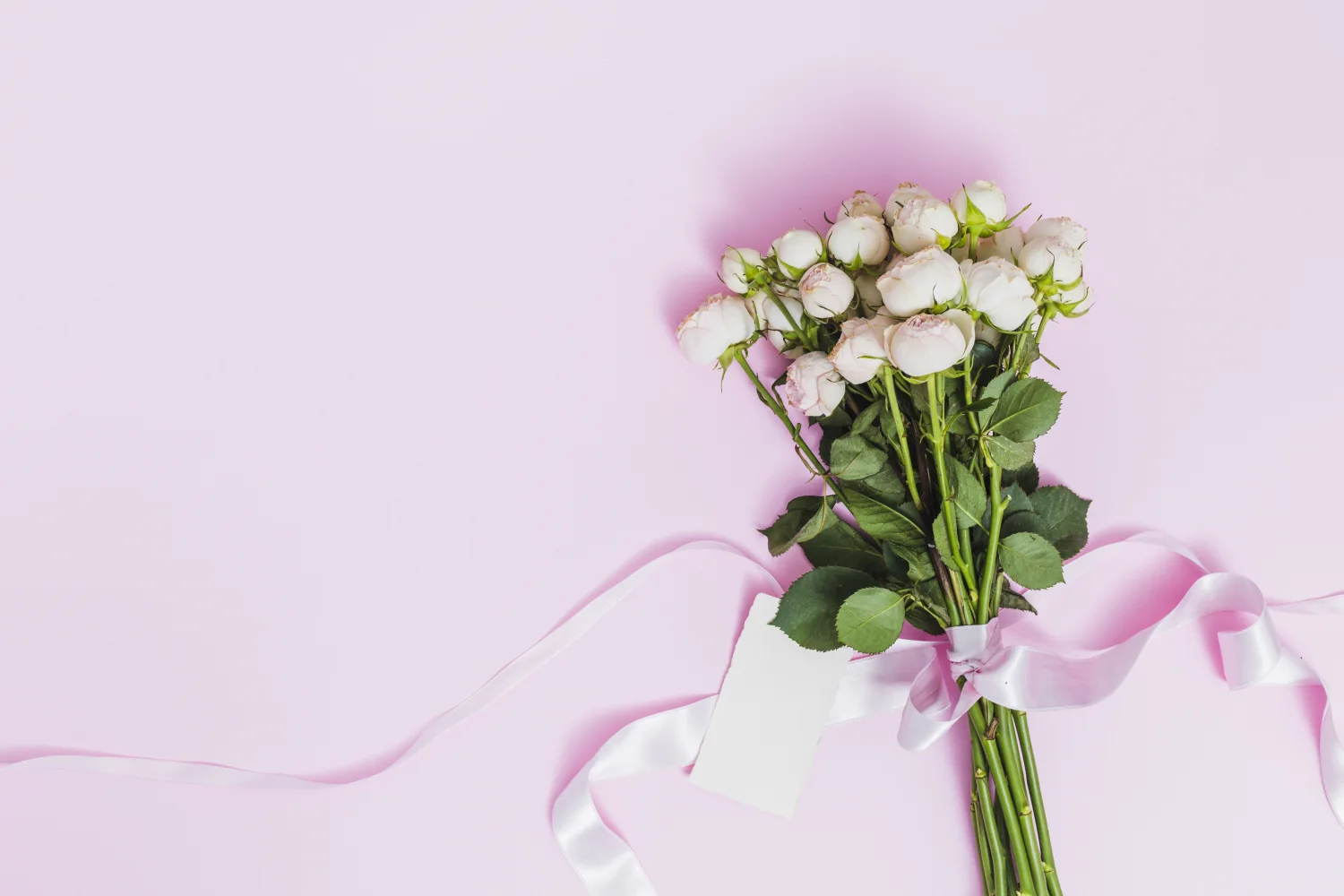 Blumenstrauß Rose mit Schleife vor rosa Hintergrund
