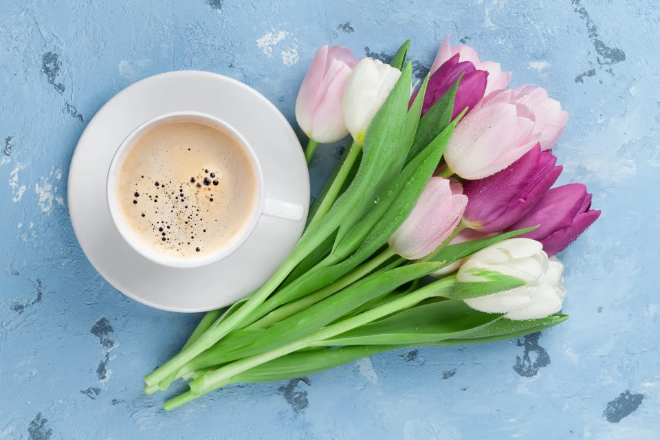 Blumenstrauß bunten Tulpen mit Tasse Kaffee auf hellblauem Tisch
