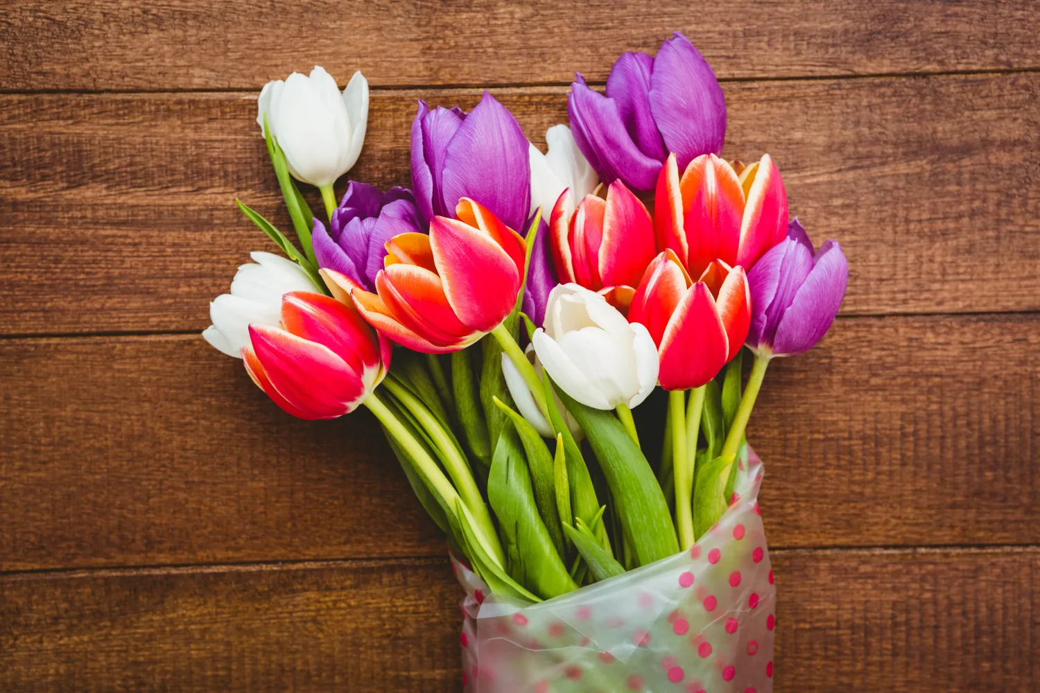 Blumenstrauß bunten Tulpen vor einem hölzernen Hintergrund
