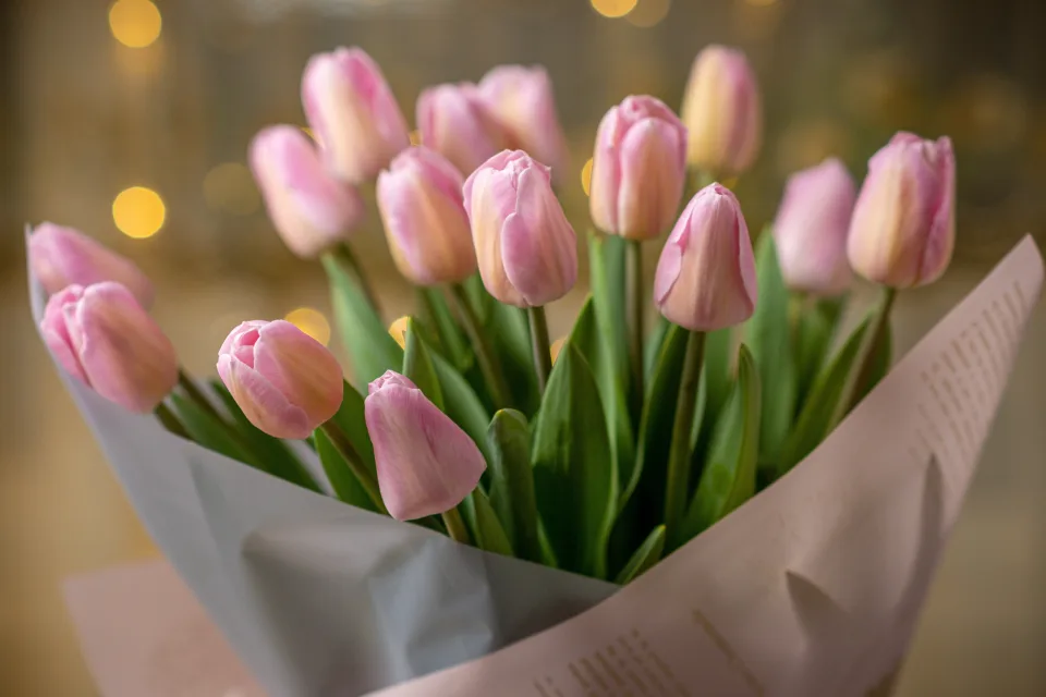 Blumenstrauß rosa Tulpen in in Vase