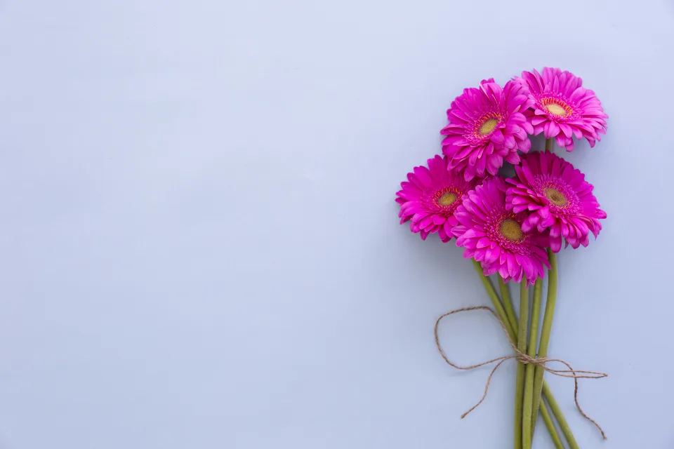 Blumenstrauß rosa vor grauem Hintergrund, Vorlage Grußkarten
