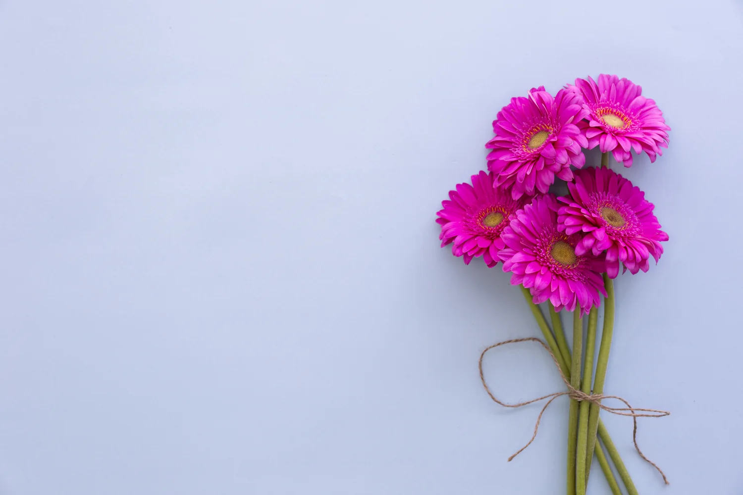 Blumenstrauß rosa vor grauem Hintergrund, Vorlage Grußkarten