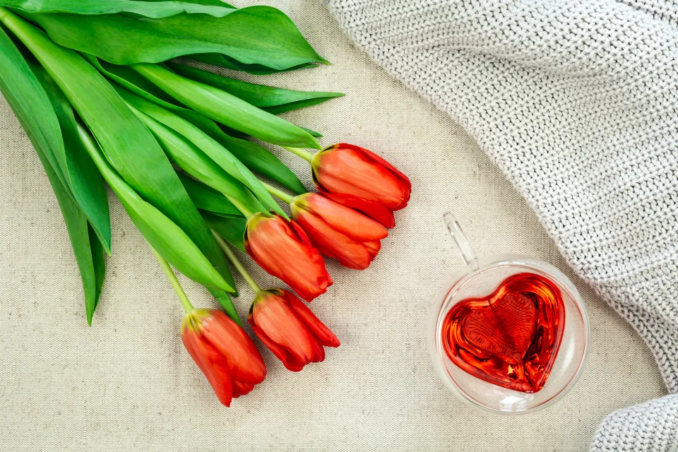 Blumenstrauß roten Tulpen mit Tasse Tee