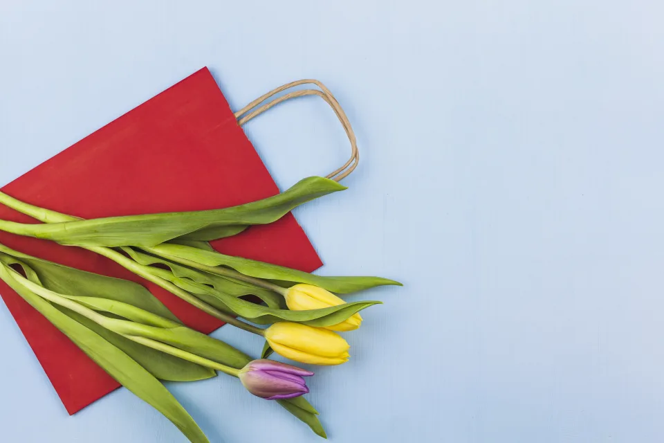 Drei Tulpen mit rotem vor hellblauem Hintergrund