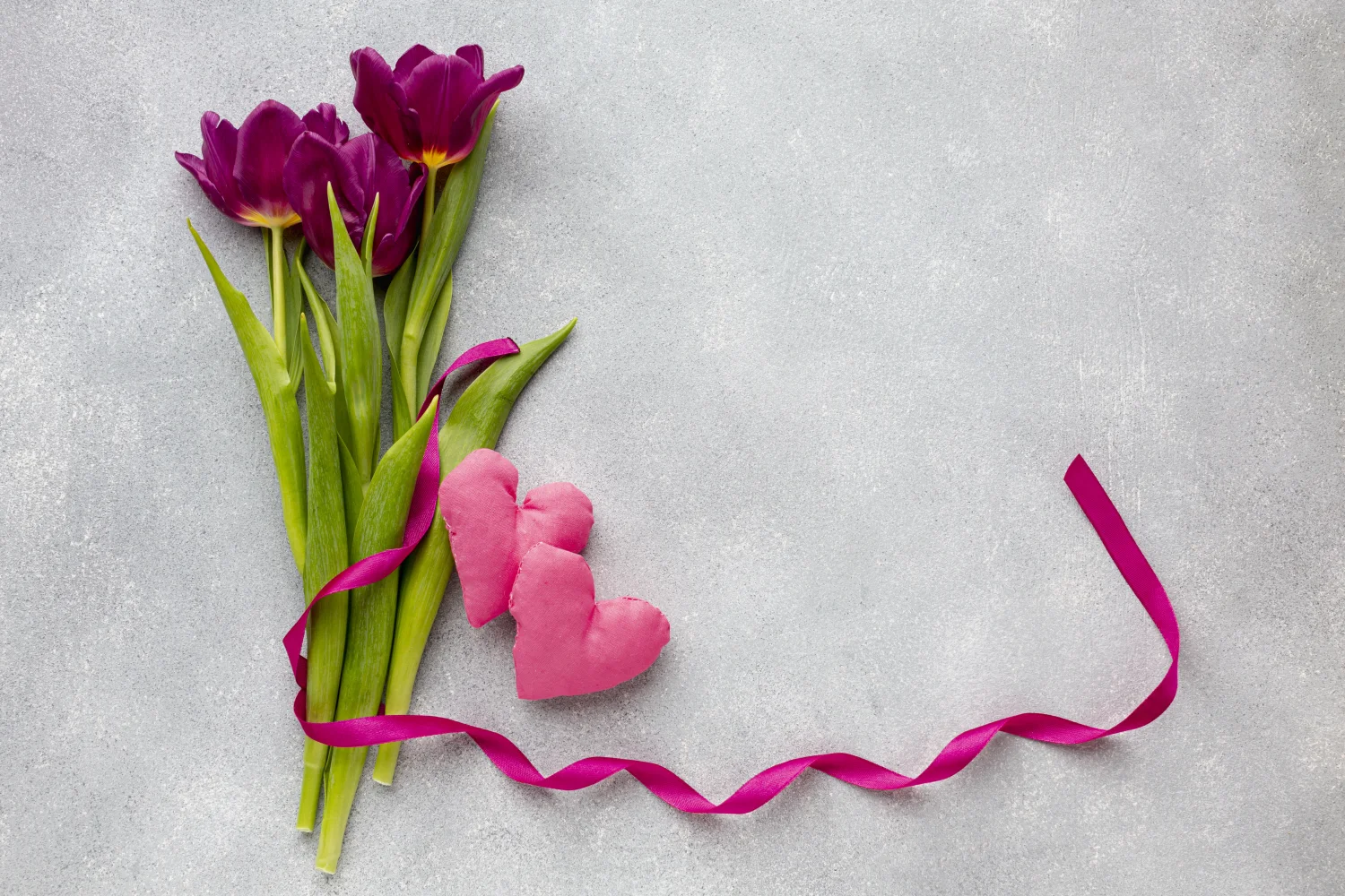 Drei Tulpen, und Schleife vor grauem Hintergrund