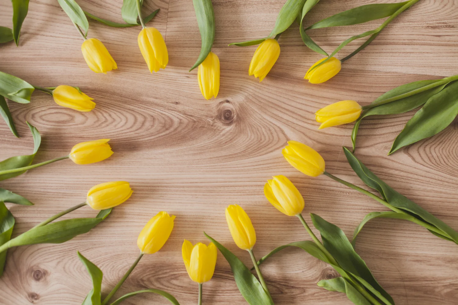 Herz aus gelben Tulpen auf hölzernem Tisch