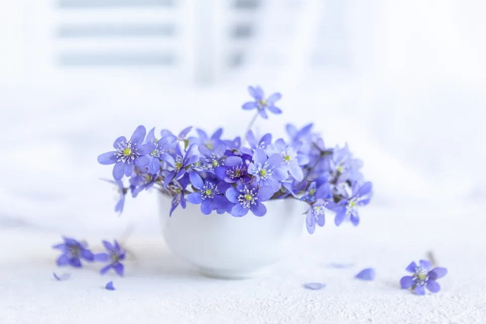 Kleine Blume in weißen Vase