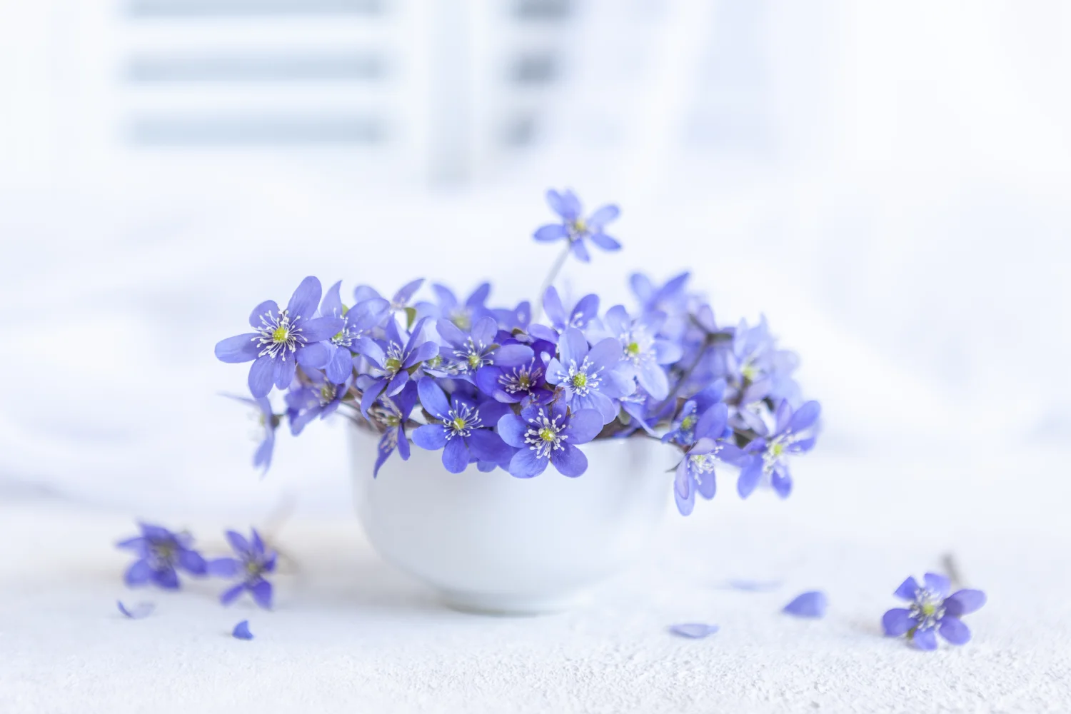 Kleine Blume in weißen Vase