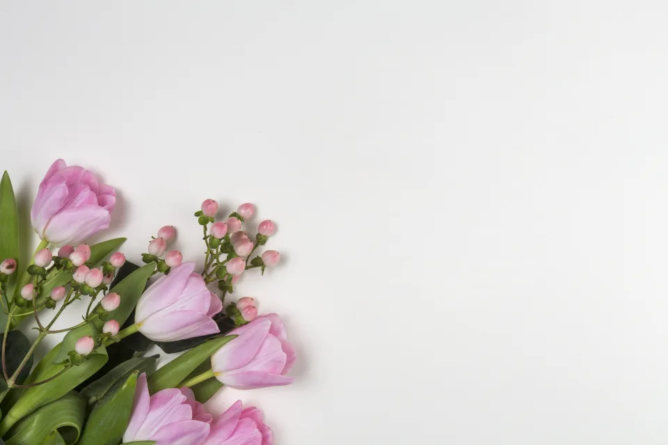 Rosa Tulpen vor grauem Hintergrund, Vorlage für Grußkarten