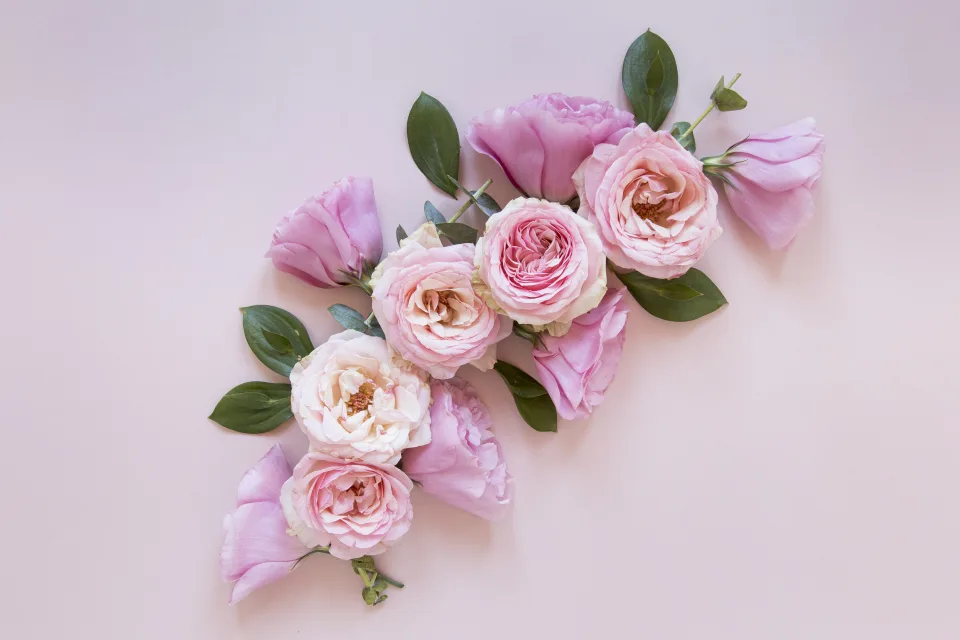 Schöne rosa Blume vor grauem Hintergrund
