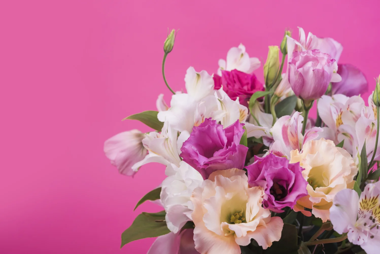 Schöner Blumenstrauß bunten Blume vor rosa Hintergrund