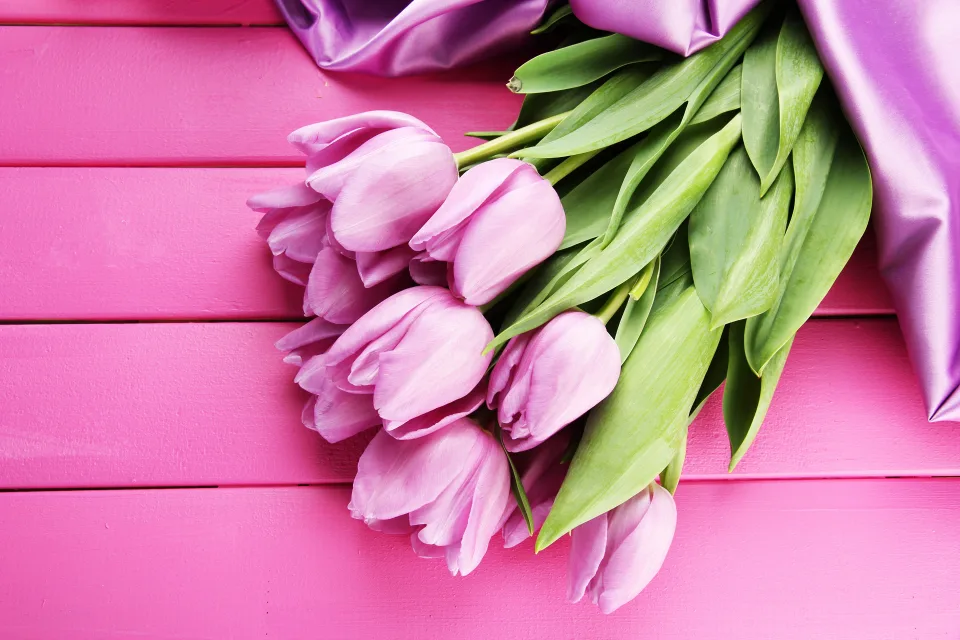 Schöner Tulpenstrauß mit Schleife auf rosa Tisch