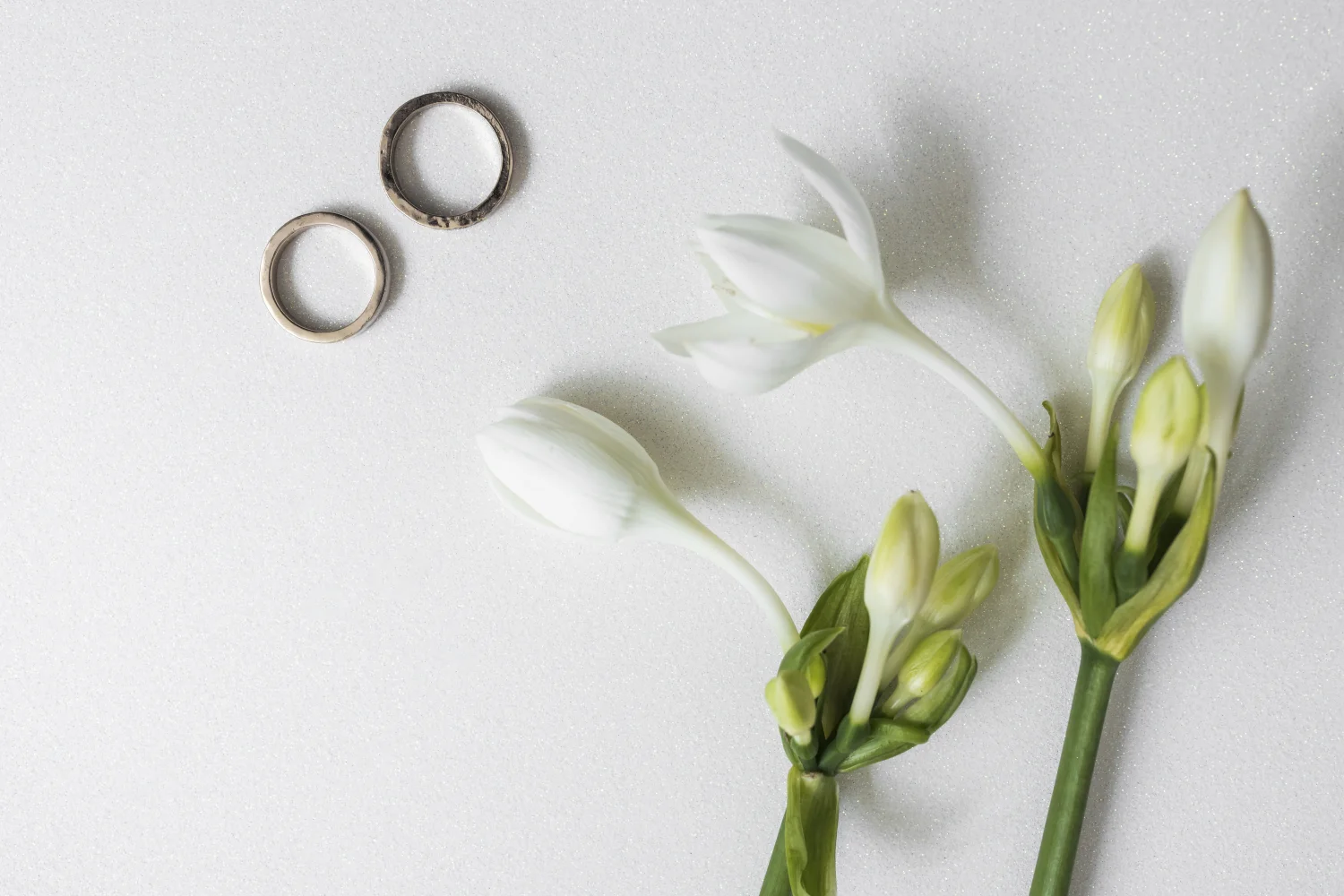 Zwei Korb mit Blumen vor grauem Hintergrund